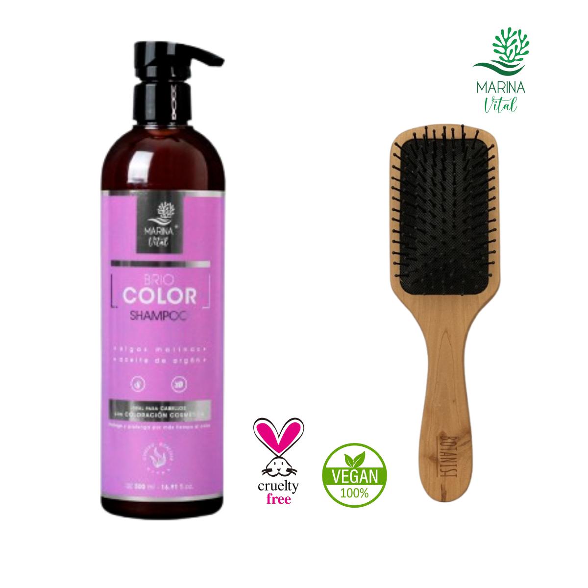 Shampoo Briocolor 500 ml + Cepillo Desenredador