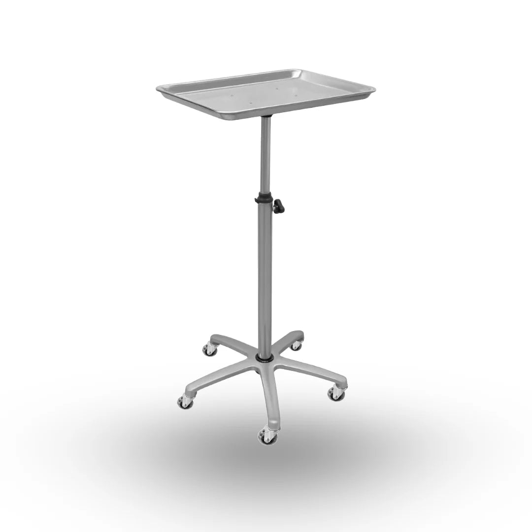 bandeja ayudante tintoreto 1 teknikstyle