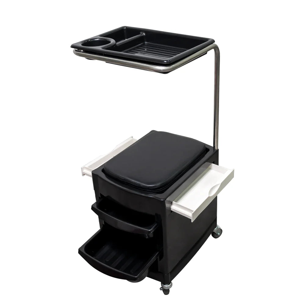 carro asiento ayudante manicure mali